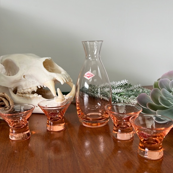 Vintage Other - VINTAGE pink Princess glass drink set - RARE